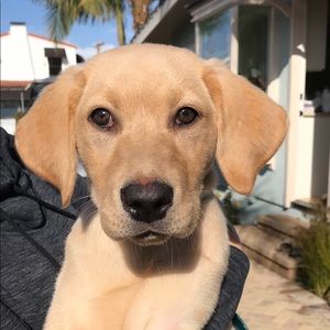 Meet your Posher, Brenda